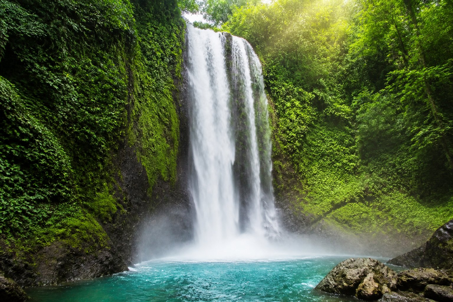 Cachoeira majestosa cercada por vegetação tropical verde e exuberante, com água cristalina caindo em uma piscina serena abaixo.