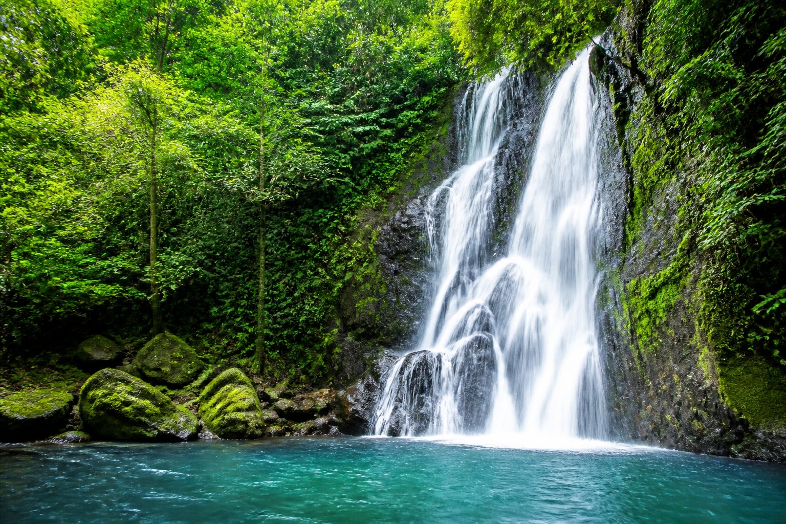 Cachoeira com água cristalina caindo sobre pedras rodeadas por vegetação verde e densa.