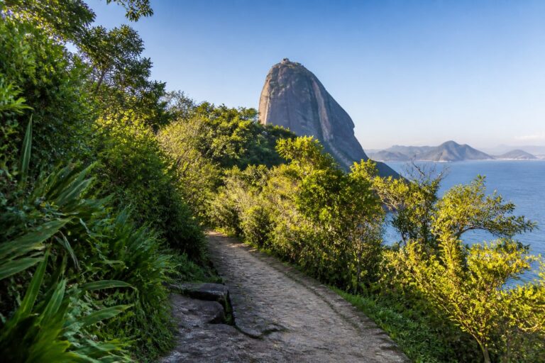 Trilha da Urca: Guia Prático de Caminhada, Dicas de Segurança e Melhores Vistas